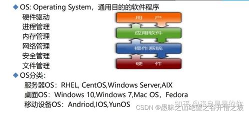 计算机网络基础知识与系统工程服务概述