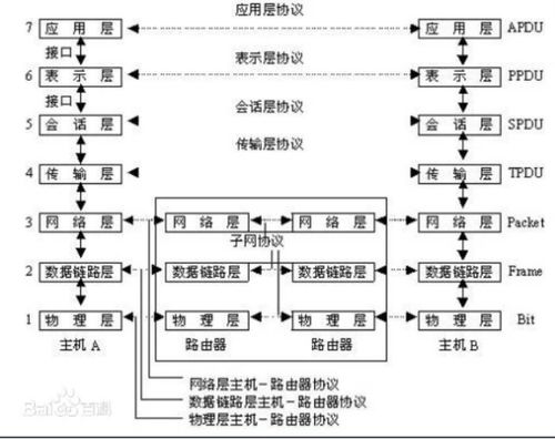 计算机网络 第二章 应用层 2.1节 网络应用体系结构